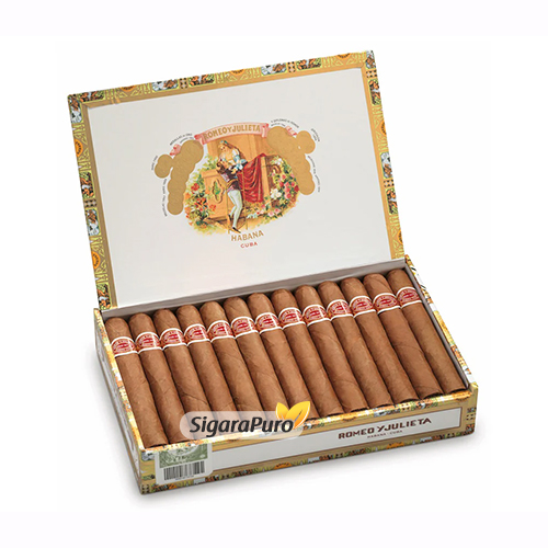 Romeo-y-Julieta-25-mille-fleurs